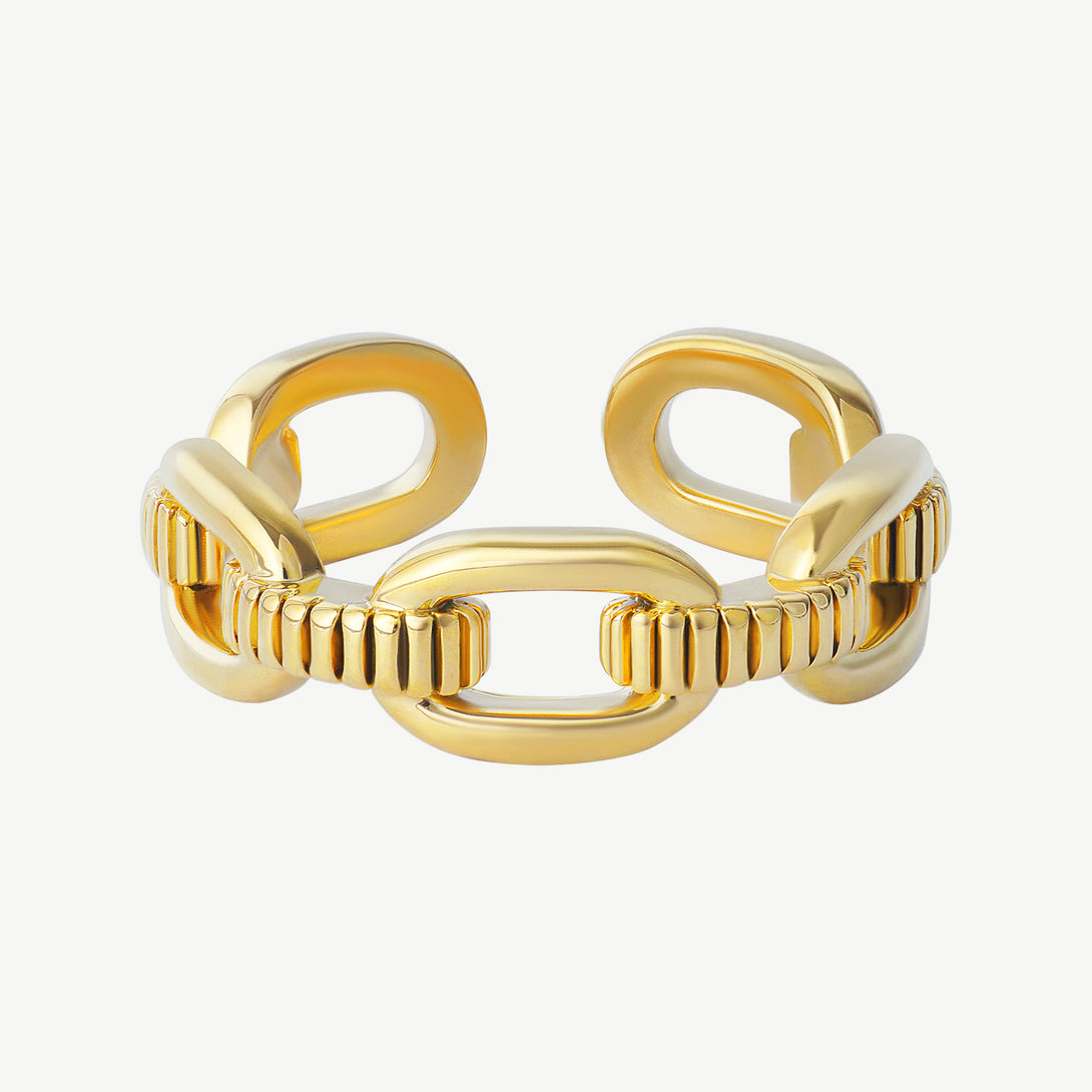 Chain Gold Ring, Details